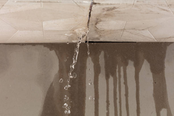 Professional Structural Drying technician working in Robbinston, ME